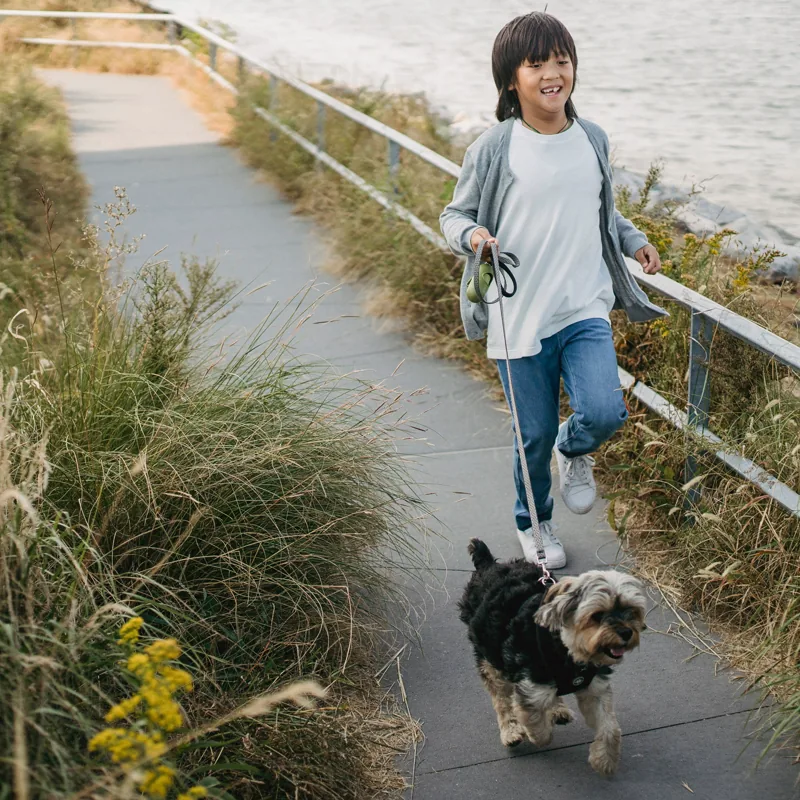 A smiling child jogs along a sunny footpath holding the leash of a small scruffy dog trotting beside them.