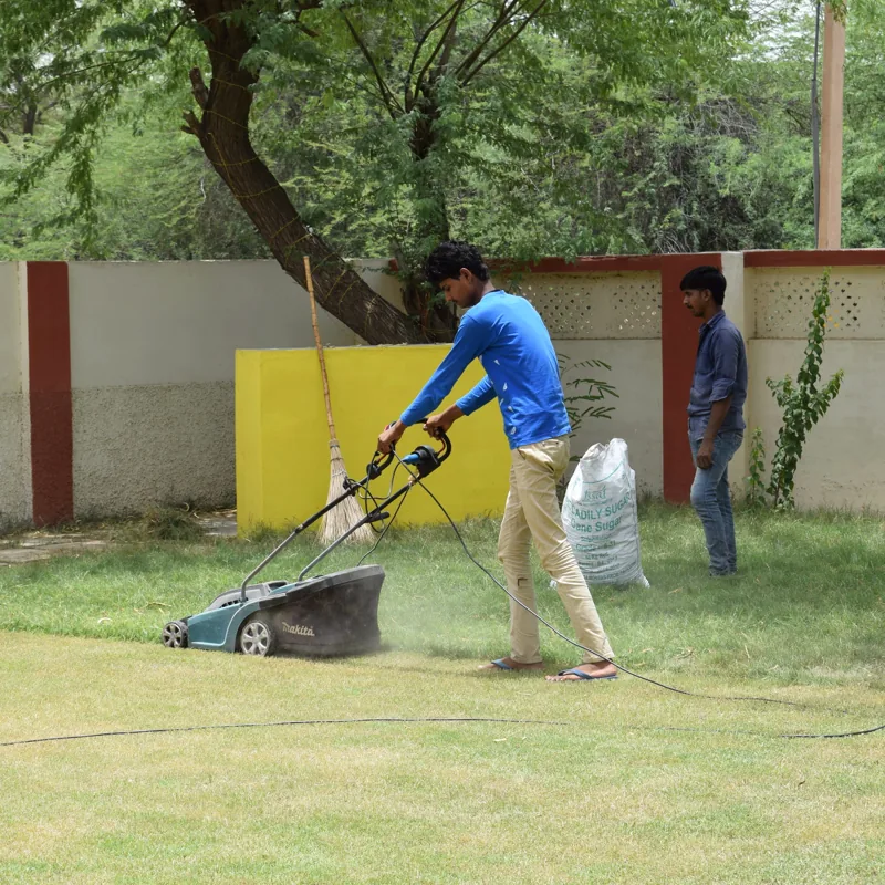 A young man in a blue t-shirt pushes a lawn mower across a bright green lawn on a sunny day, with a helper bagging clippings behind him.