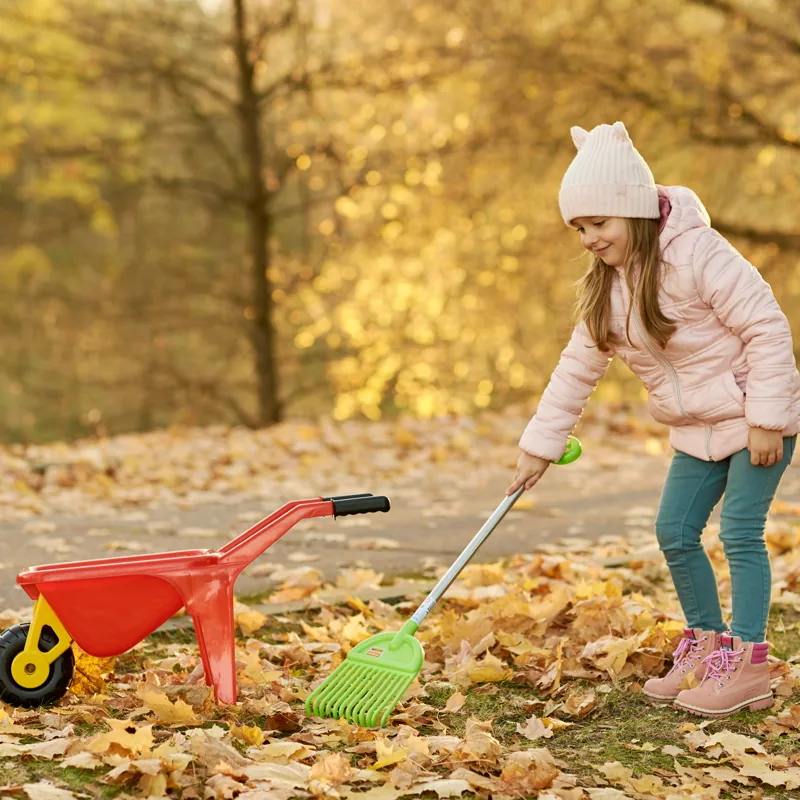 A girl in a pink jacket rakes a pile of golden autumn leaves next to a small wheelbarrow in a sunlit park.