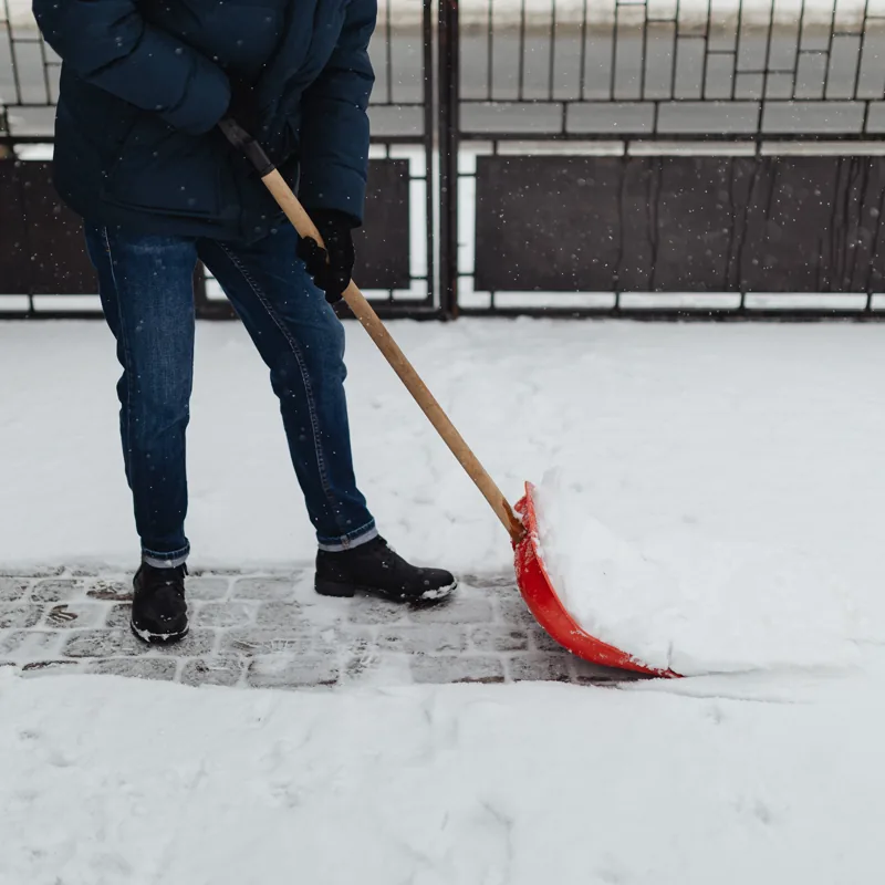 A person in a warm winter coat pushes a shovel through fresh snow, clearing a paved path on a bright winter day.